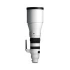 SIGMA 300-600mm F4 DG OS Sports