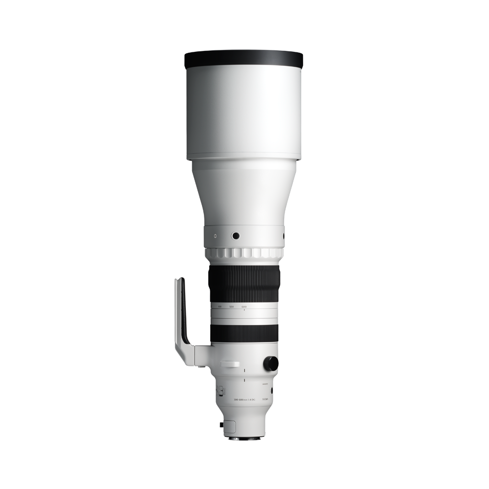 SIGMA 300-600mm F4 DG OS Sports