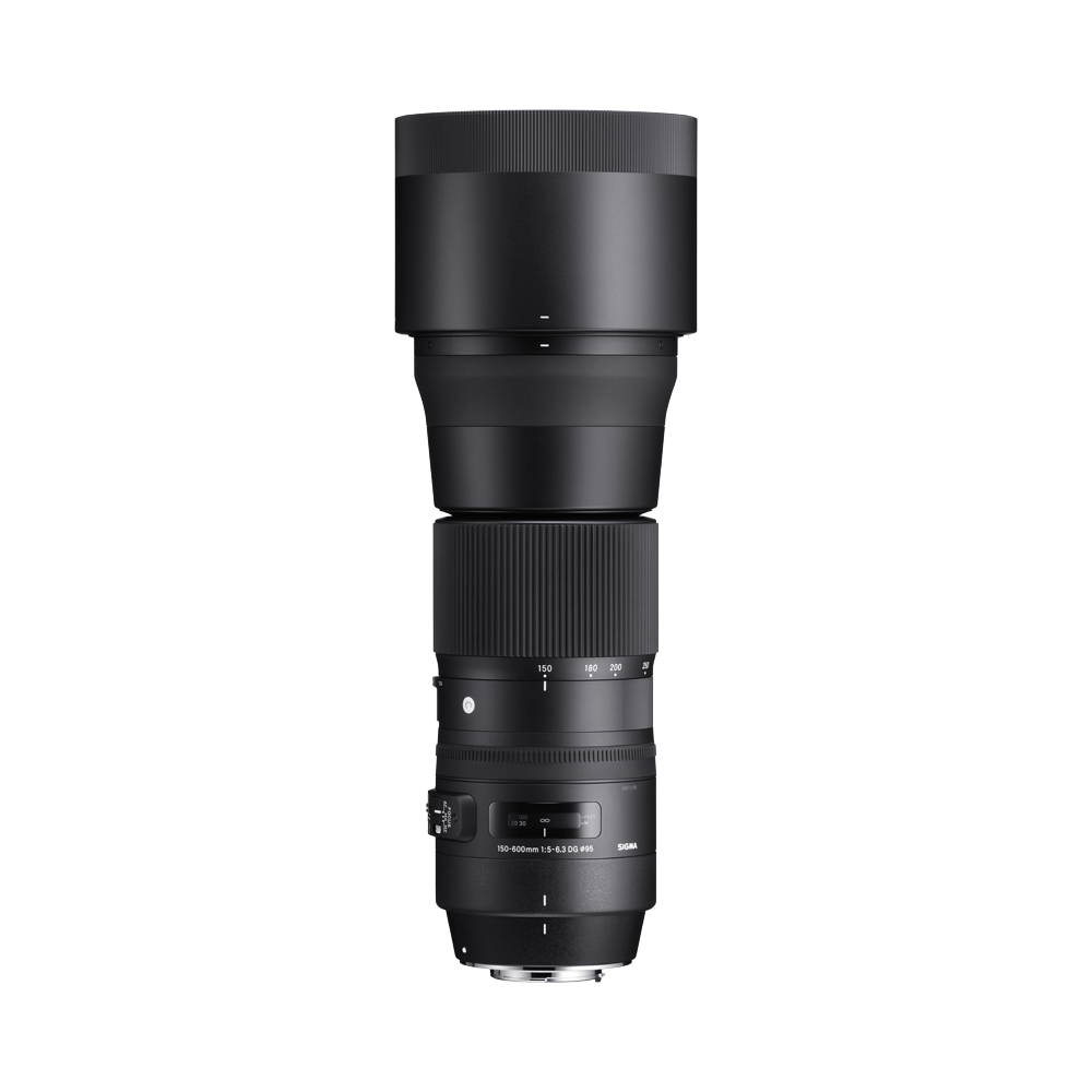 SIGMA 150-600mm F5-6.3 DG OS HSM | Contemporary