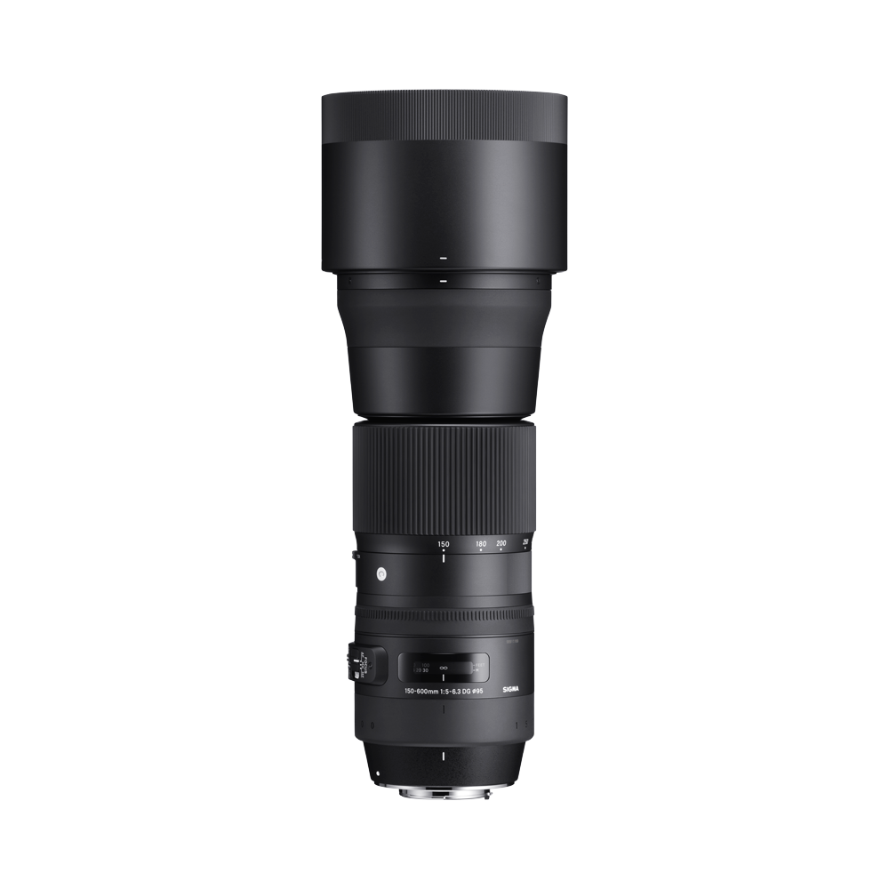 SIGMA 150-600mm F5-6.3 DG OS HSM | Contemporary