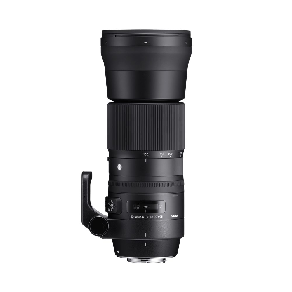 SIGMA 150-600mm F5-6.3 DG OS HSM | Contemporary