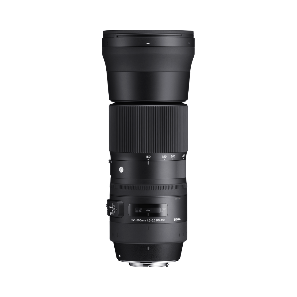 SIGMA 150-600mm F5-6.3 DG OS HSM | Contemporary