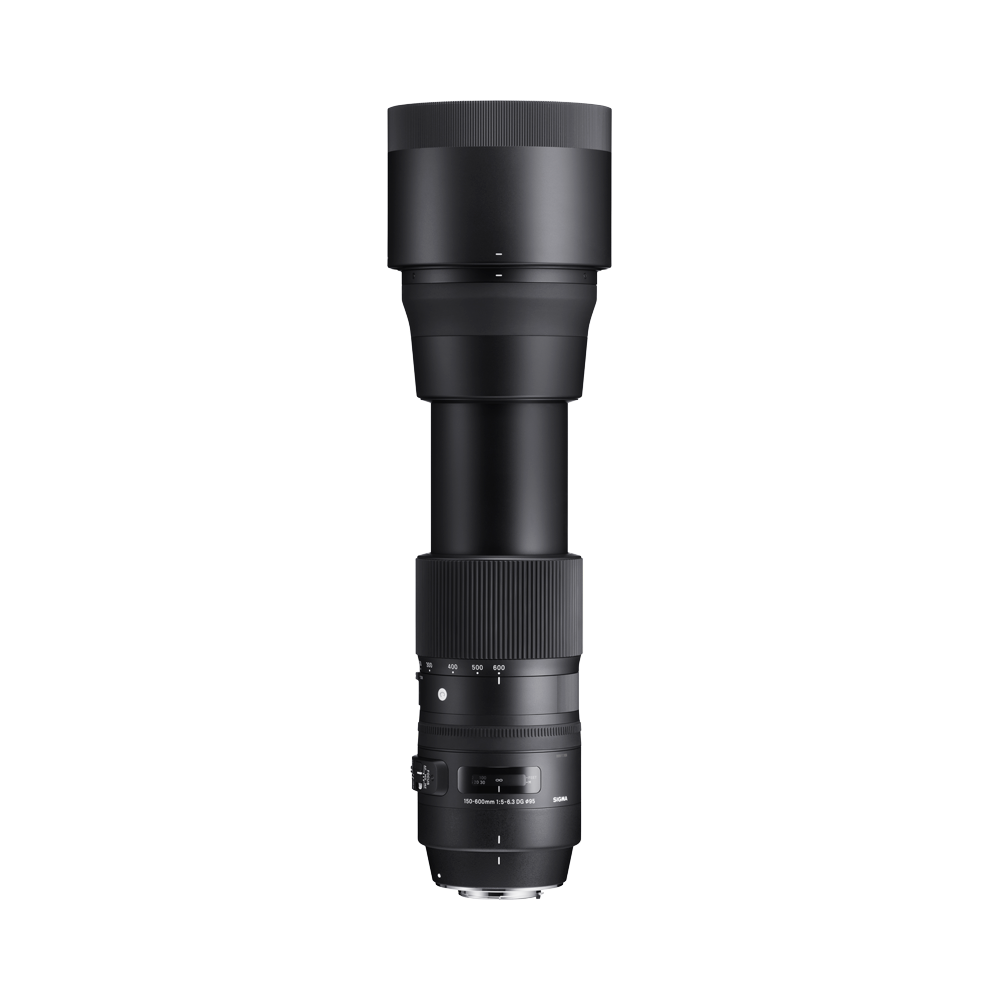 SIGMA 150-600mm F5-6.3 DG OS HSM | Contemporary