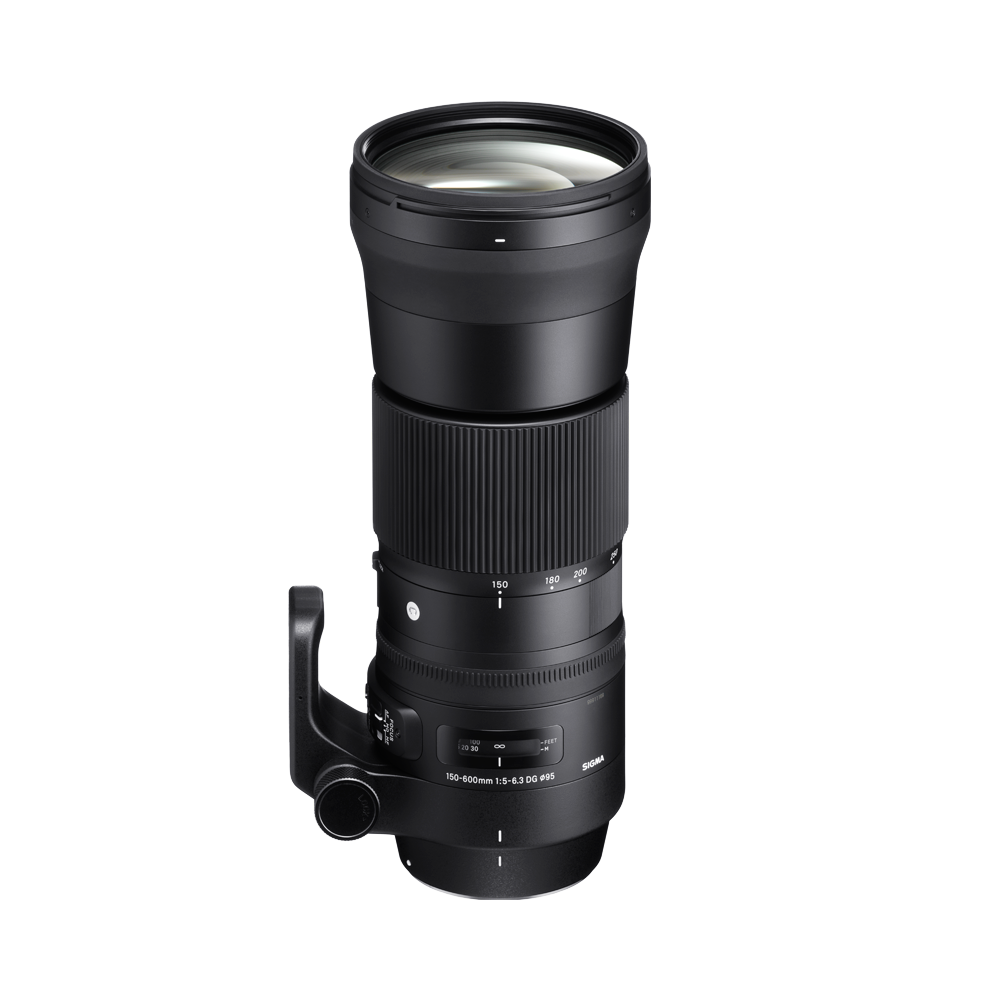SIGMA 150-600mm F5-6.3 DG OS HSM | Contemporary