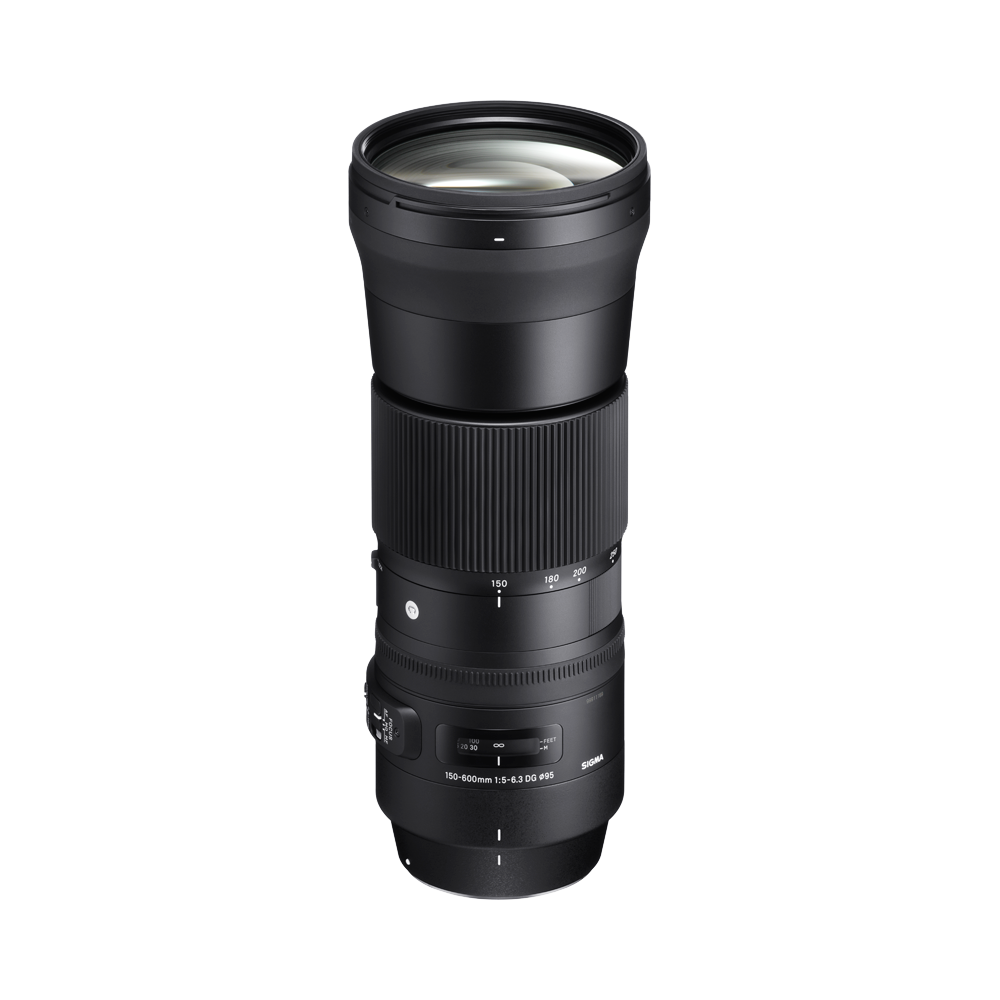 SIGMA 150-600mm F5-6.3 DG OS HSM | Contemporary