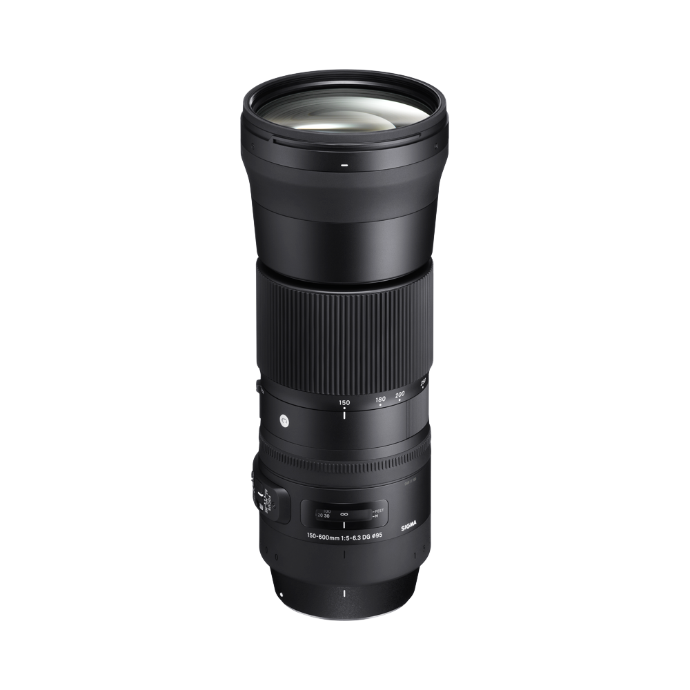 SIGMA 150-600mm F5-6.3 DG OS HSM | Contemporary
