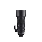 SIGMA 60-600mm F4.5-6.3 DG DN OS | Sports