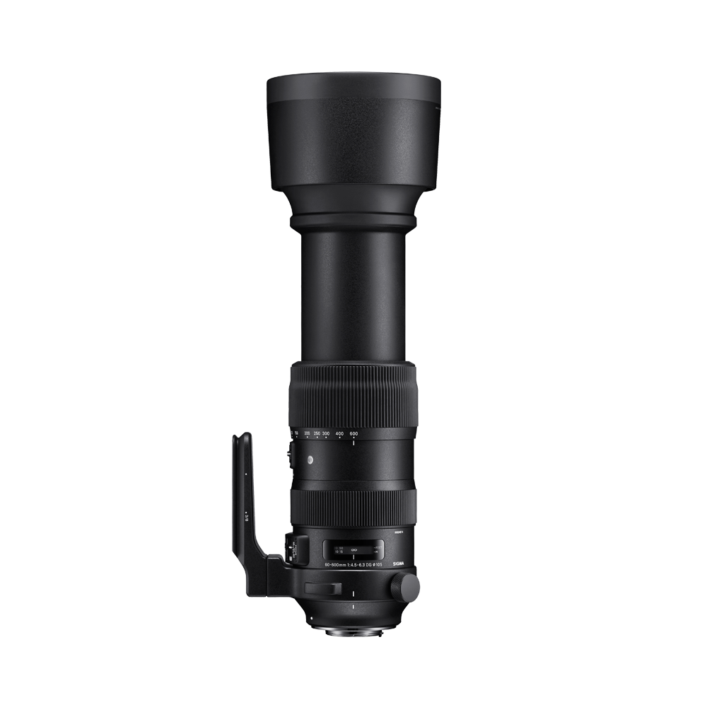 SIGMA 60-600mm F4.5-6.3 DG OS HSM | Sports