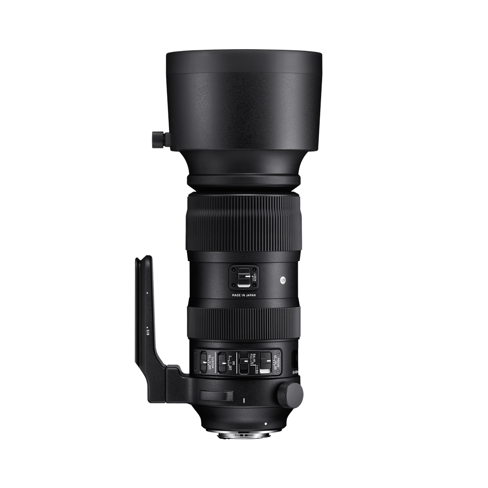 SIGMA 60-600mm F4.5-6.3 DG OS HSM | Sports