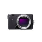 fp - Mirrorless Camera